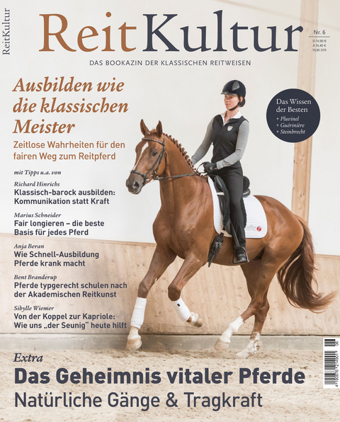 ReitKultur 6