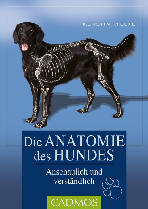 Die Anatomie des Hundes - Kerstin Mielke