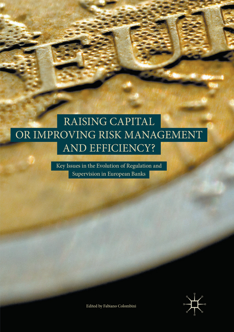 Raising Capital or Improving Risk Management and Efficiency? - 