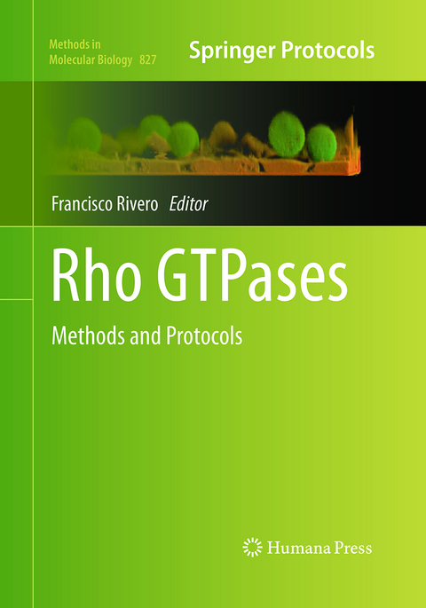 Rho GTPases - 