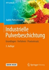 Industrielle Pulverbeschichtung - Pietschmann, Judith