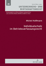 Individualschutz im Betriebsverfassungsrecht - Michel Hoffmann