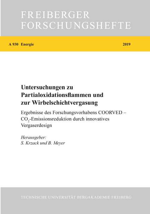 Untersuchungen zu Partialoxidationsflammen und zur Wirbelschichtvergasung - 