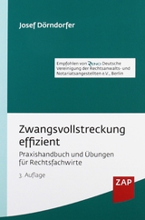 Zwangsvollstreckung effizient - 