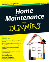Home Maintenance For Dummies -  James Carey,  Morris Carey