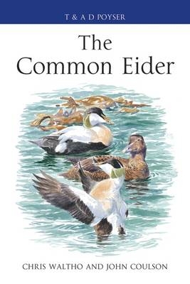 The Common Eider -  John Coulson,  Chris Waltho