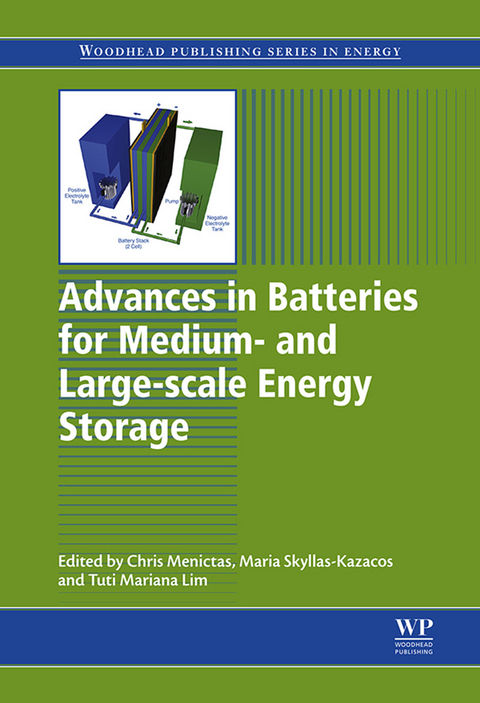 Advances in Batteries for Medium and Large-Scale Energy Storage - 