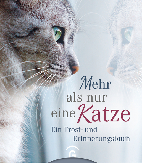 Mehr als nur eine Katze - 