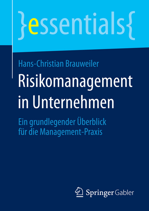 Risikomanagement in Unternehmen - Hans-Christian Brauweiler