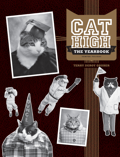 Cat High -  Terry deroy Gruber