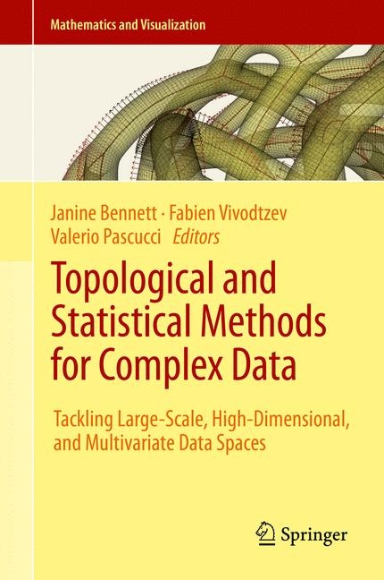 Topological and Statistical Methods for Complex Data - 