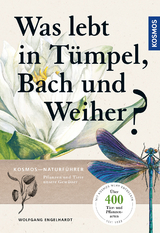 Was lebt in Tümpel, Bach und Weiher? - Wolfgang Engelhardt, Peter Martin, Rehfeld Klaus