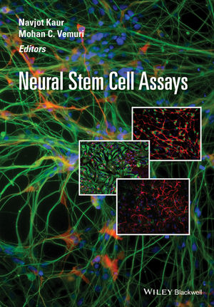 Neural Stem Cell Assays - 