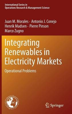 Integrating Renewables in Electricity Markets -  Antonio J. Conejo,  Henrik Madsen,  Juan M. Morales,  Pierre Pinson,  Marco Zugno