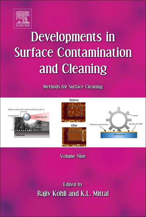 Developments in Surface Contamination and Cleaning, Volume 8 - 