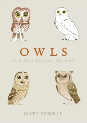 Owls -  Matt Sewell