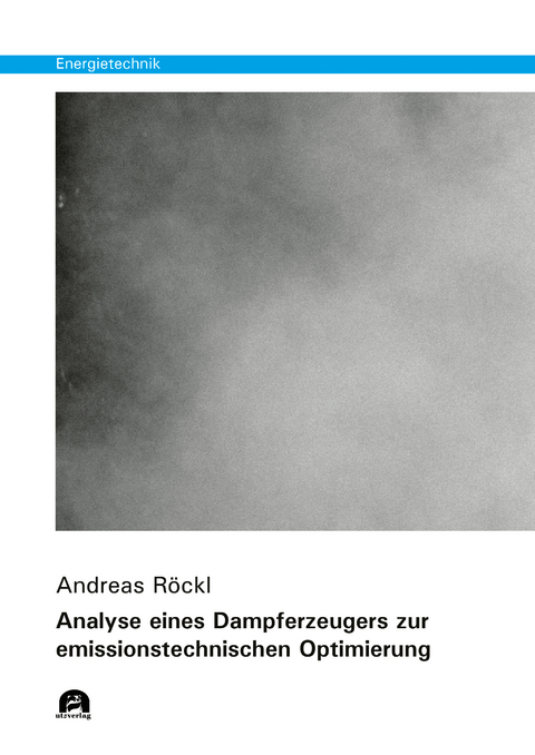 Analyse eines Dampferzeugers zur emissionstechnischen Optimierung - Andreas Röckl