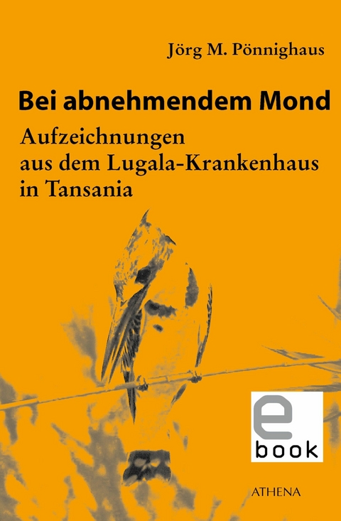 Bei abnehmendem Mond - Jörg M. Pönnighaus