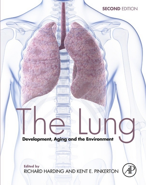 Lung - 