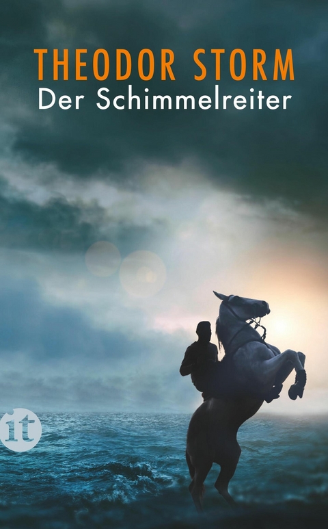 Der Schimmelreiter - Theodor Storm