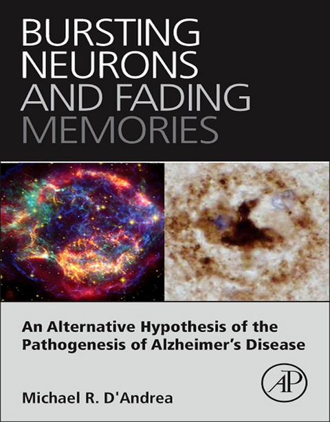 Bursting Neurons and Fading Memories -  Michael R. D'Andrea