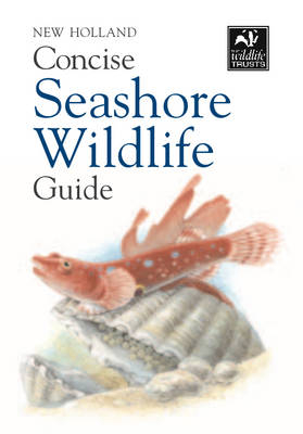 Concise Seashore Wildlife Guide -  Bloomsbury