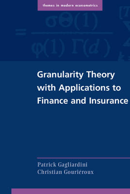 Granularity Theory with Applications to Finance and Insurance -  Patrick Gagliardini,  Christian Gourieroux