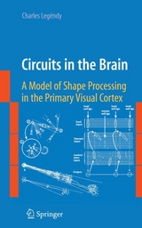 Circuits in the Brain -  Charles Legendy