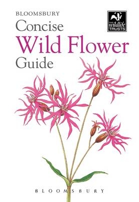 Concise Wild Flower Guide -  Bloomsbury