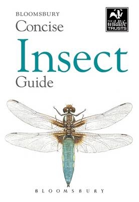 Concise Insect Guide -  Bloomsbury Bloomsbury