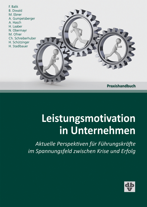 Leistungsmotivation in Unternehmen -  Harald Schützinger,  Bernhard Diwald,  Helmut Stadlbauer,  Andreas Gumpetsberger,  Norbert Obermayr,  Chr