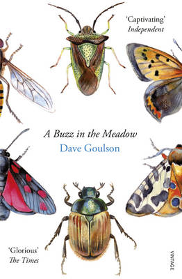 Buzz in the Meadow -  Dave Goulson