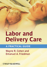 Labor and Delivery Care -  Wayne R. Cohen,  Emanuel A. Friedman