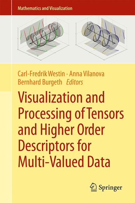 Visualization and Processing of Tensors and Higher Order Descriptors for Multi-Valued Data - 