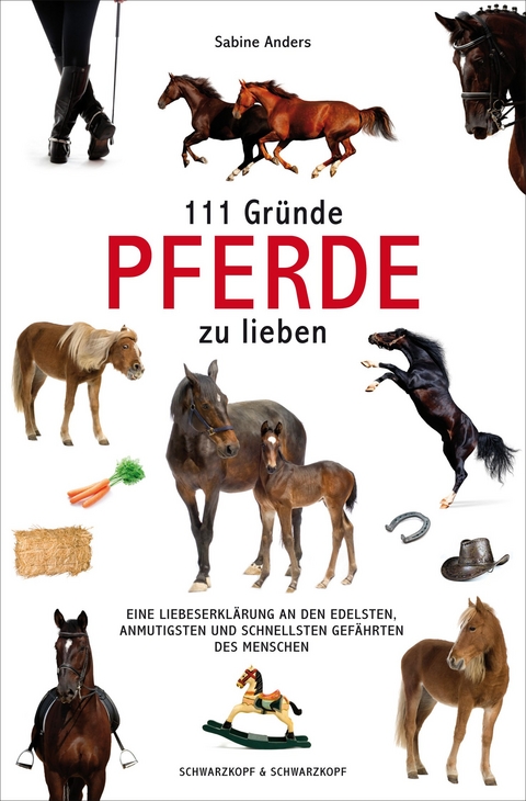111 Gründe, Pferde zu lieben - Sabine Anders