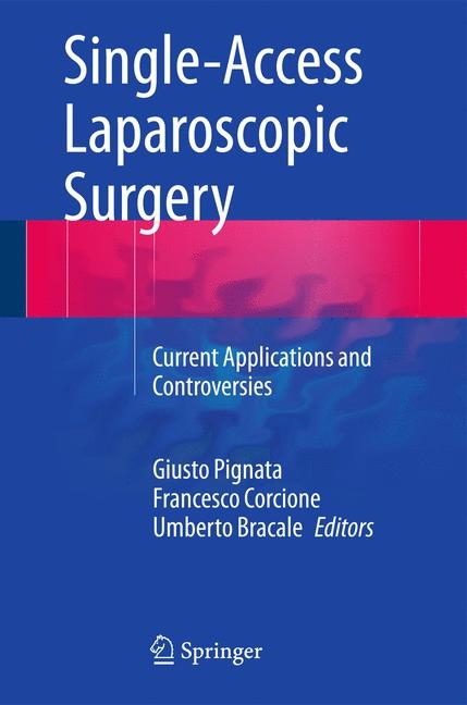 Single-Access Laparoscopic Surgery - 