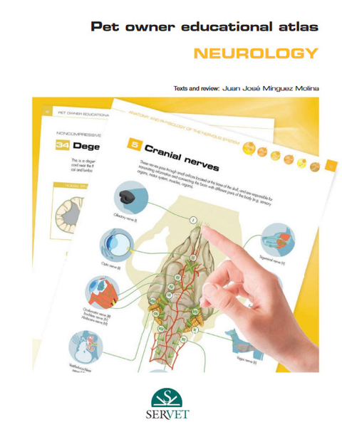 Pet Owner Educational Atlas. Neurology - Juan José Minguez Molina