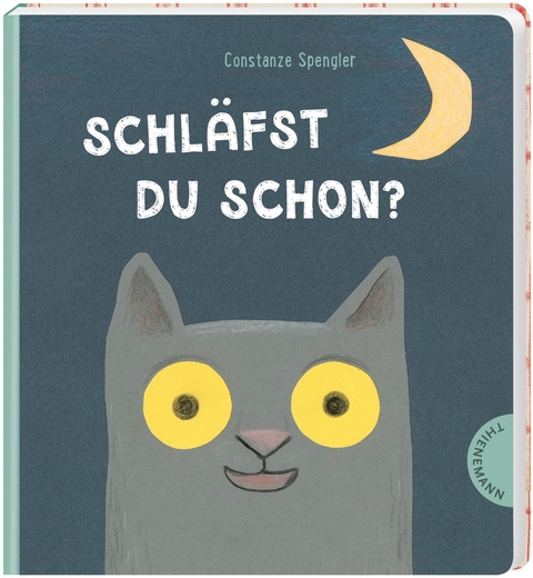 Schläfst du schon? - Constanze Spengler