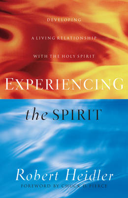 Experiencing the Spirit -  Robert Heidler