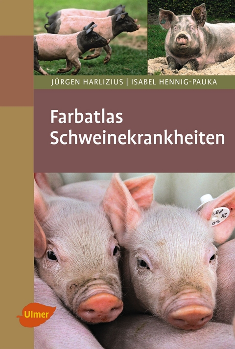 Schweinekrankheiten - Jürgen Harlizius, Isabel Hennig-Pauka