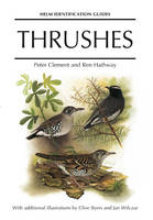 Thrushes -  Peter Clement,  Ren Hathway