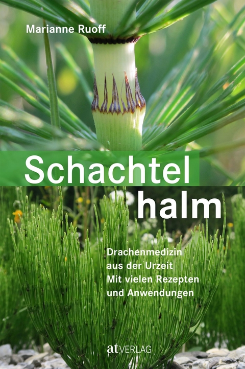 Schachtelhalm - Marianne Ruoff