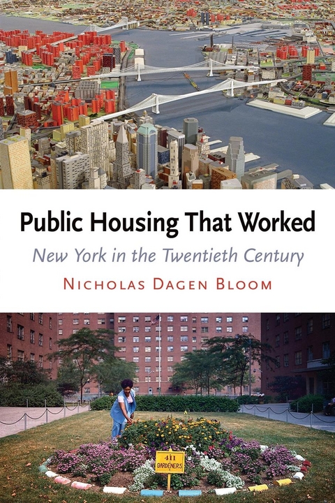 Public Housing That Worked -  Nicholas Dagen Bloom