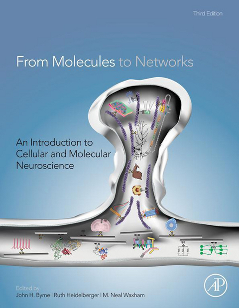 From Molecules to Networks - 