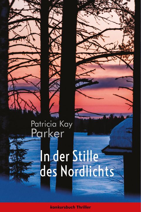 In der Stille des Nordlichts - Patricia Kay Parker