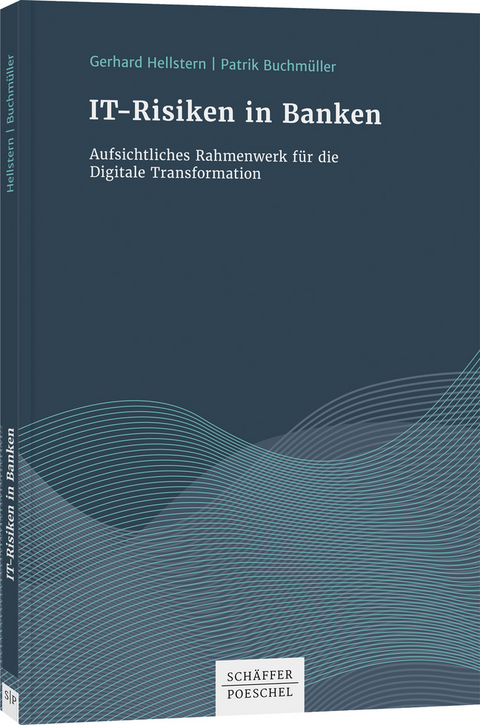 IT-Risiken in Banken - Gerhard Hellstern, Patrik Buchmüller