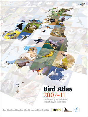 Bird Atlas 2007-11 -  Dawn Balmer,  Brian Caffrey,  Iain Downie,  Rob Fuller,  Simon Gillings,  Bob Swann