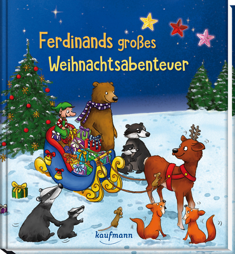 Ferdinands großes Weihnachtsabenteuer - Kristin Lückel