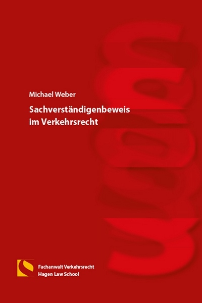 Sachverständigenbeweis im Verkehrsrecht - Michael Weber