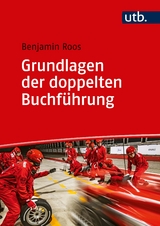Grundlagen der doppelten Buchführung - Benjamin Roos